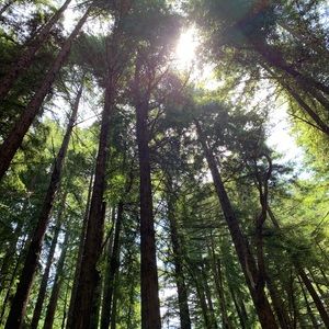 Meet your Posher, Harper